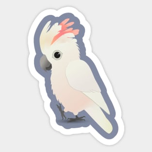 Salmon-crested cockatoo Sticker